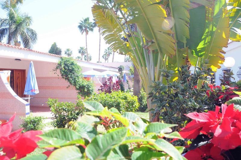 San Valentin & Terraflor Park Hotel Плая дел Инглес Екстериор снимка