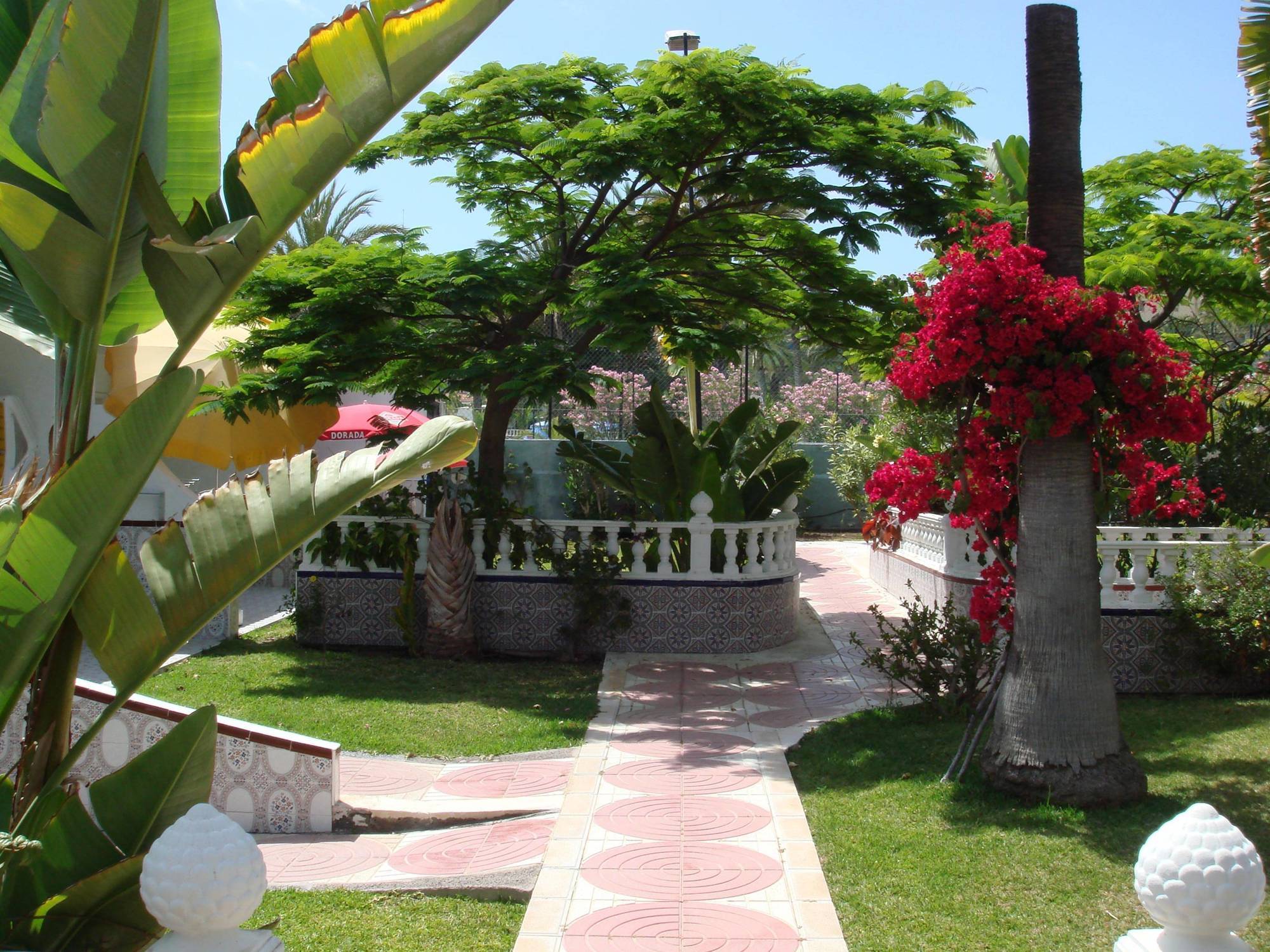 San Valentin & Terraflor Park Hotel Плая дел Инглес Екстериор снимка